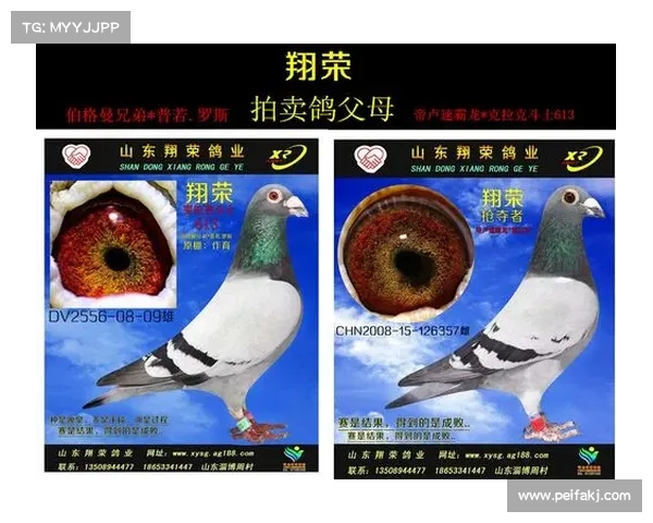 克拉克双成历史首例,狂热逆转领头羊自由人(克拉克首秀) 克拉克双成历史首例,狂热逆转领头羊自由人(克拉克首秀)